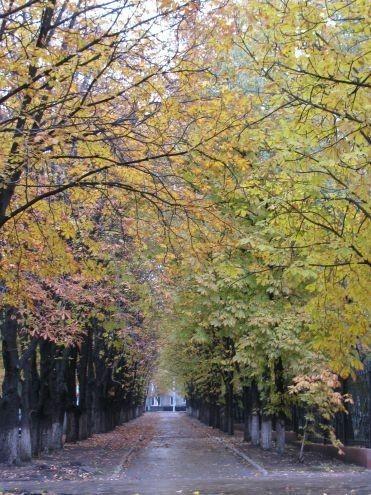 Снова мне осень...