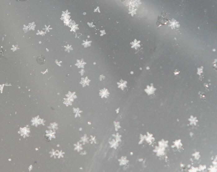 Снежок, снежок