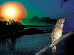 Гармония природы