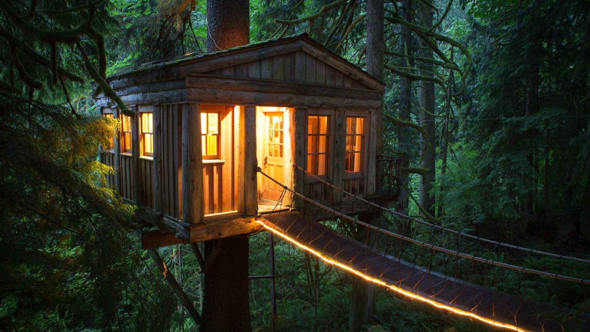 деревянный домик в лесу без смс
