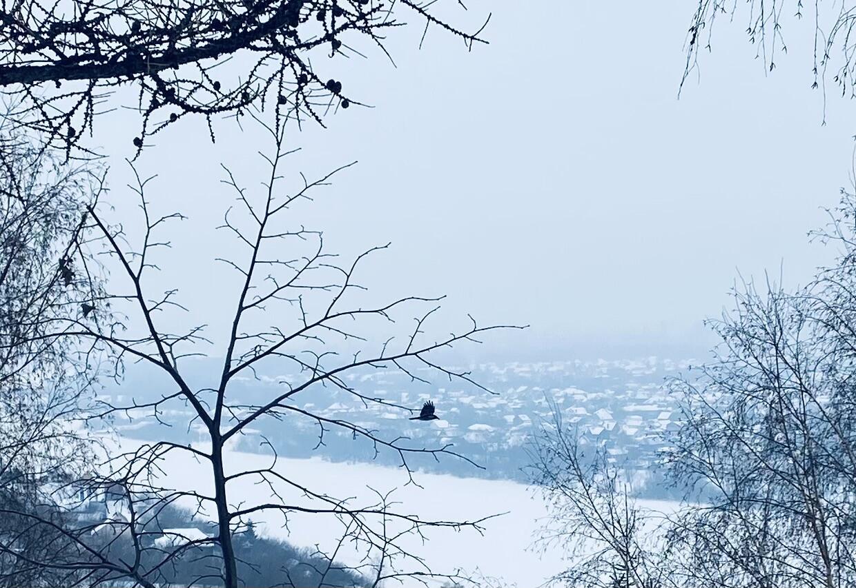 И навестим…