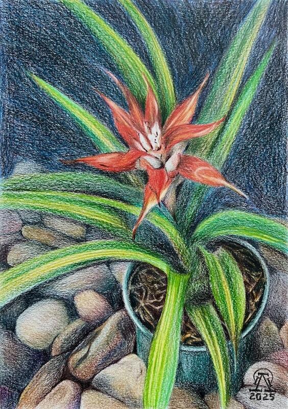 Мысли и домыслы... (694)