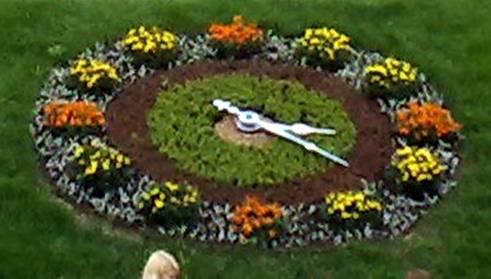 От ароматов цветов я пьяная.