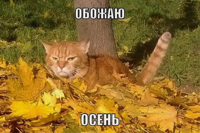 НЕВИДИМКА