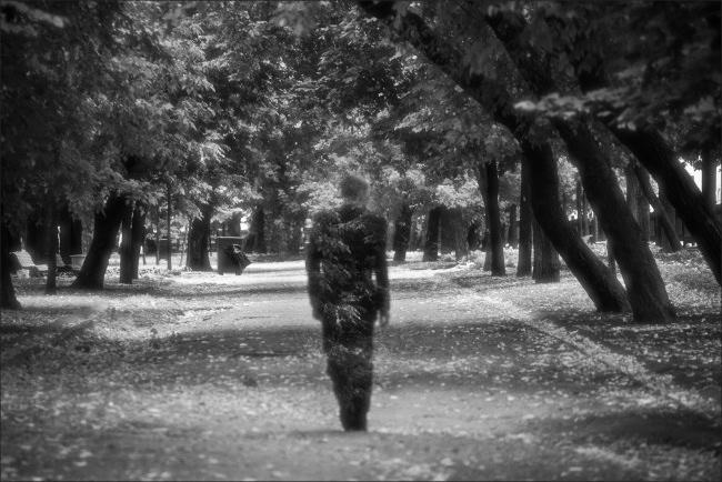 СЕРДЦА  ЛЮБОВНЫЙ  НАПЕВ .