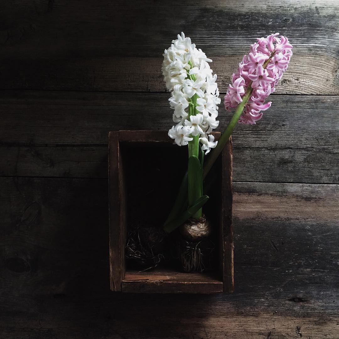 Разводит судьба...