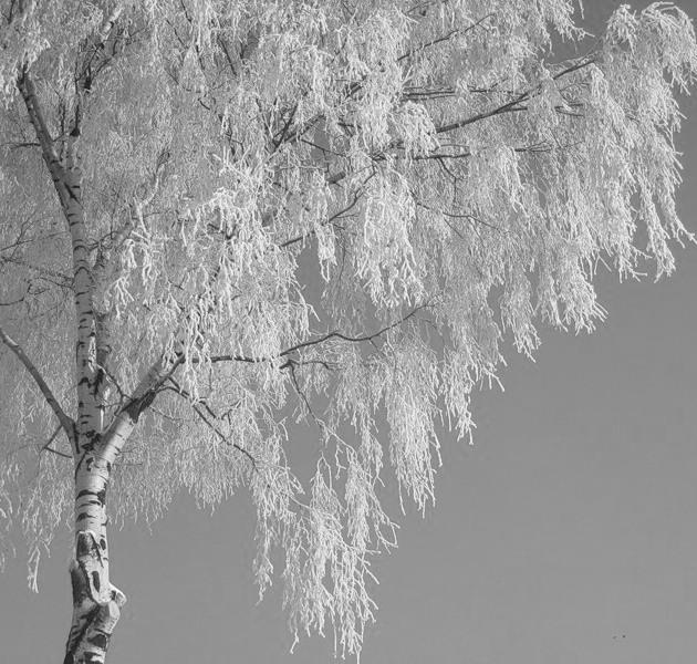 СТРАТЕГ ДЕКАБРЬ