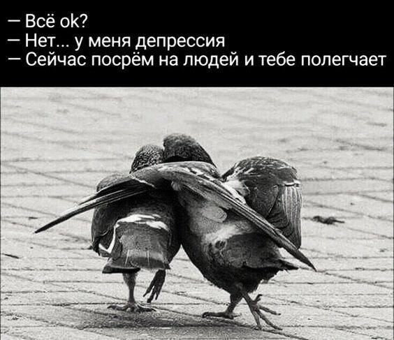 Неожиданная помощь