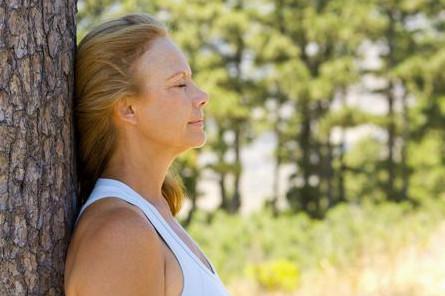 Деревья целители