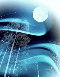 Ночное рандеву