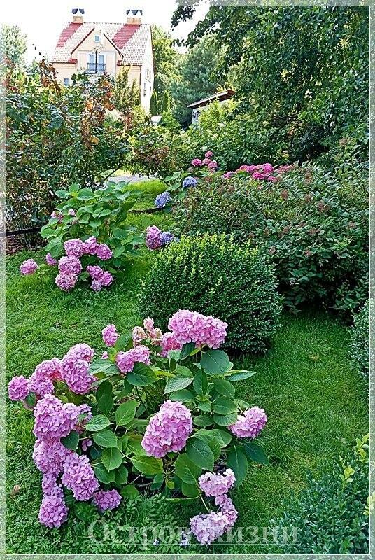 Жизнь. Прозаическая миниатюра