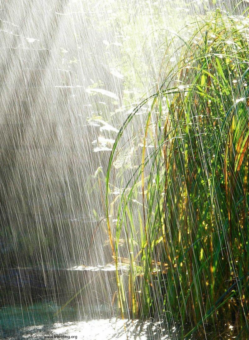 Дождит(говорящая рифма)