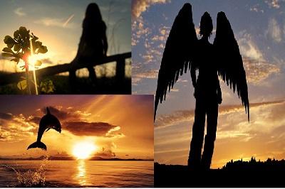 Силуэт В лучах Заката