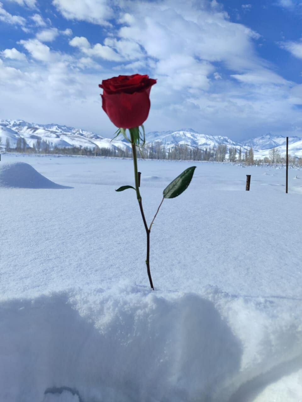 Зимнее утро 