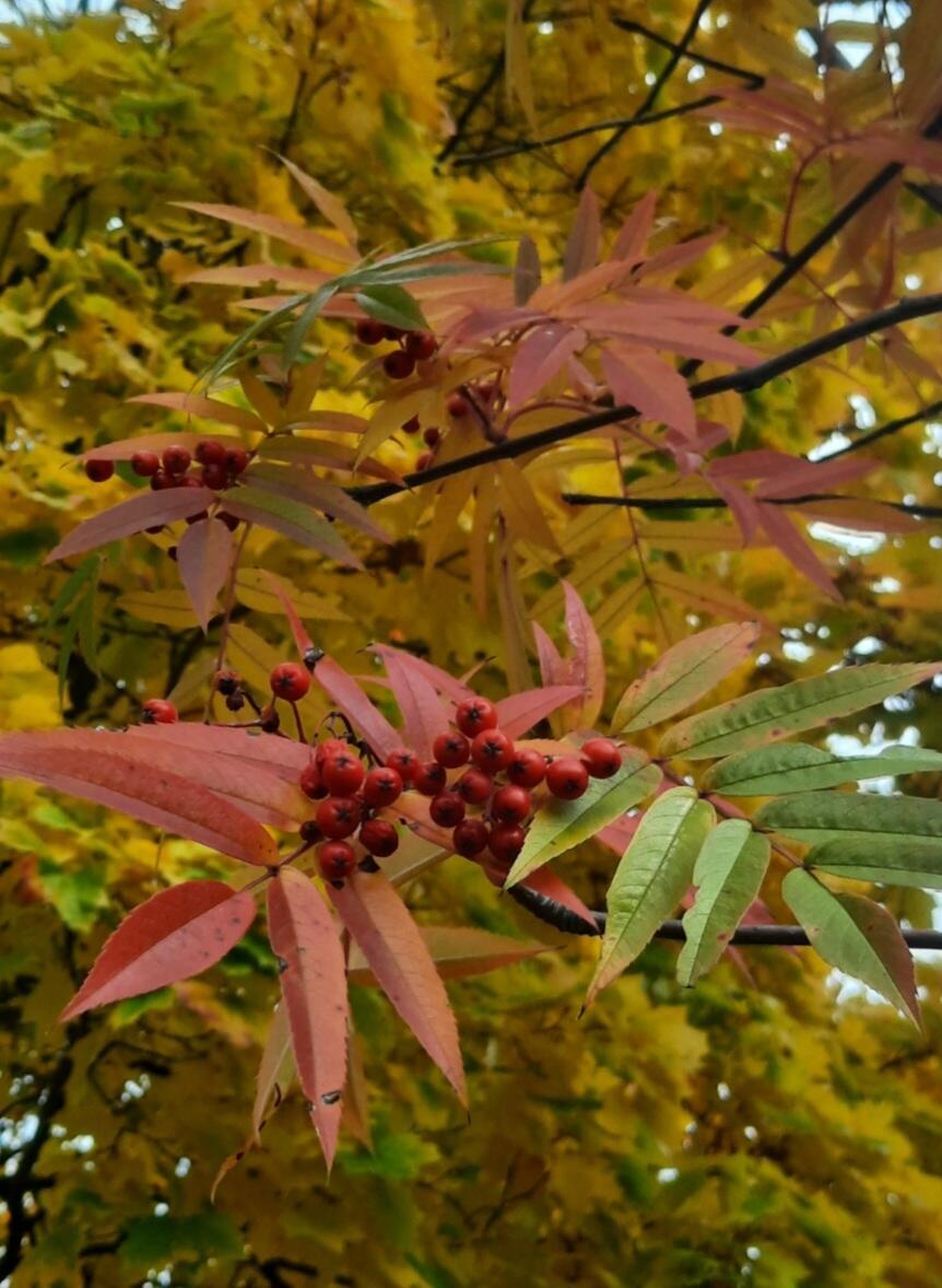 День народного единства 4 ноября
