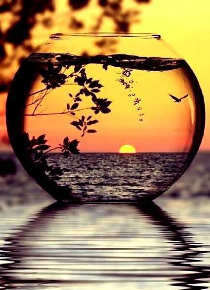 Белое и чёрное