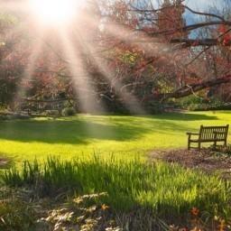 Я  НЕ  КРИЧУ...