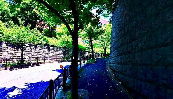 Московское лето '25