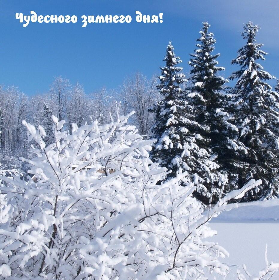 ФЕВРАЛЬ ФЕВРАЛЬ ЧУДАК МАЛЬЧИШКА