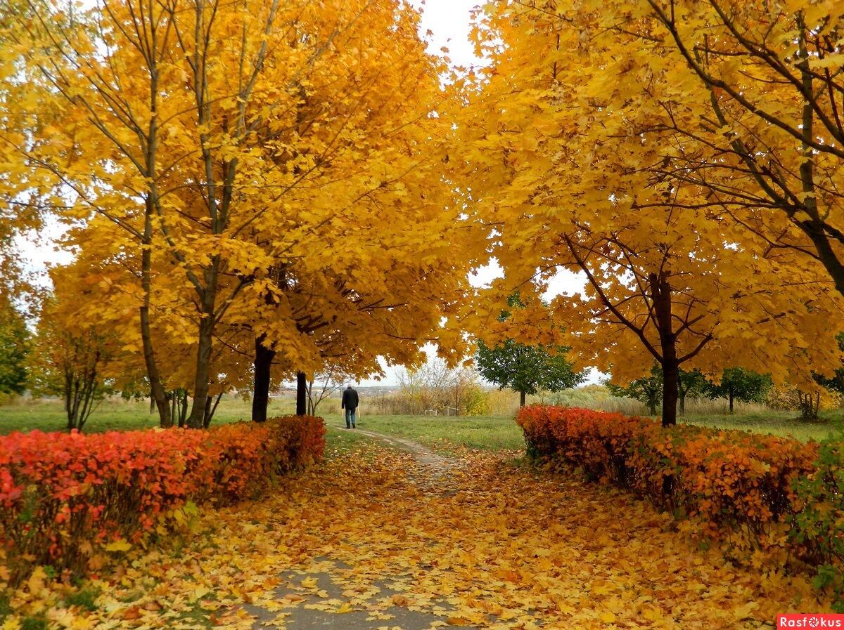 "Вот месяц сентябрь и промчался..." (07.10.2021)