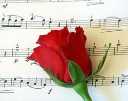 Когда-то всё бывает в первый раз