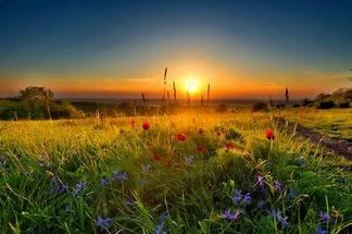 Не зная устали