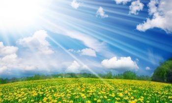 Всё прекрасно!