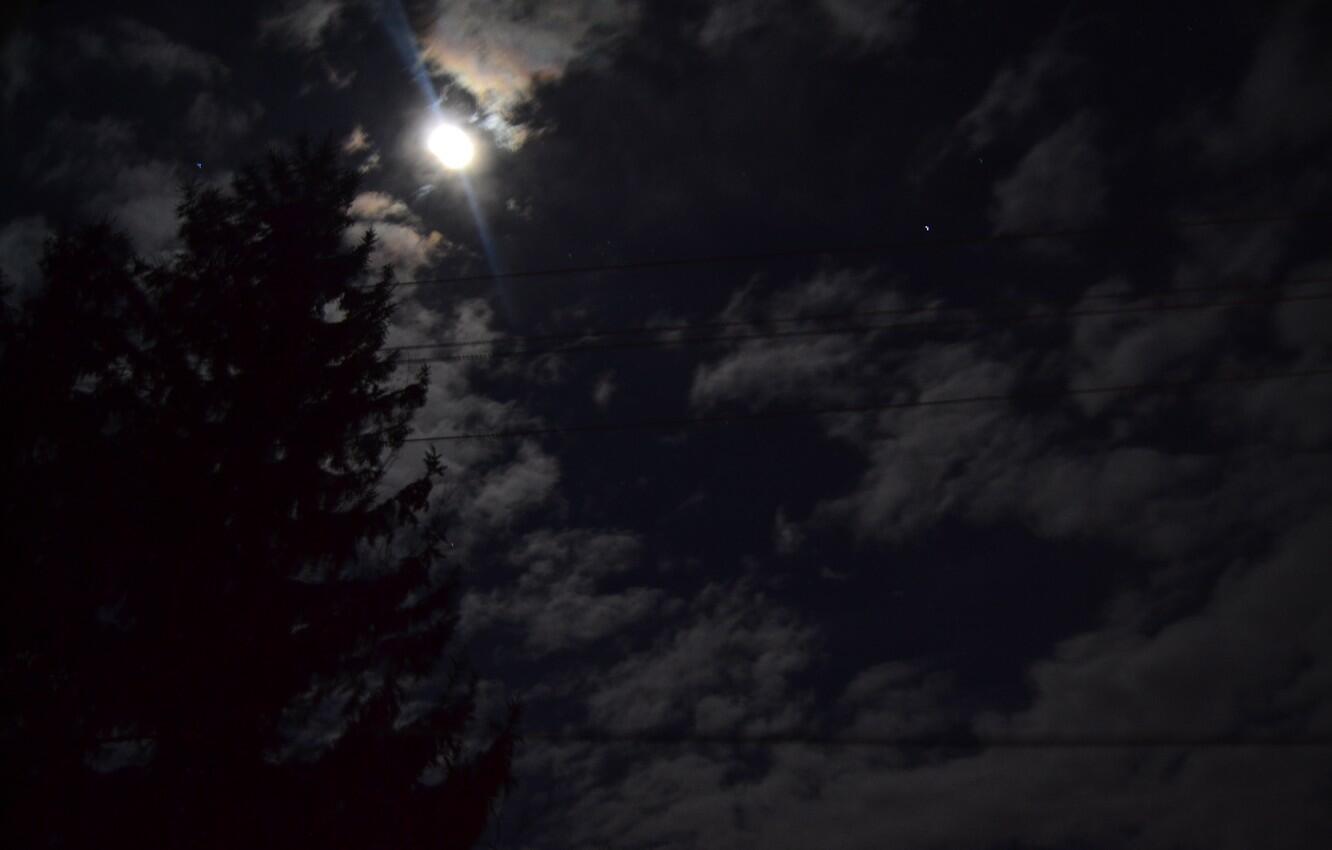 "Ты в снах со мною говоришь..." (04.11.2021)