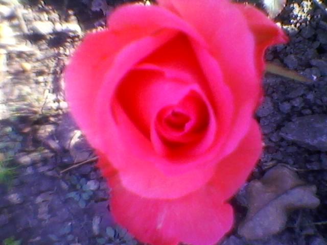 Тело камень