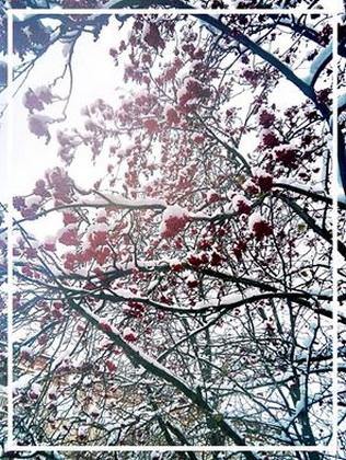 СЛУШАЯ НОЯБРЬСКОЕ РАДИО