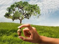 хокку испытания