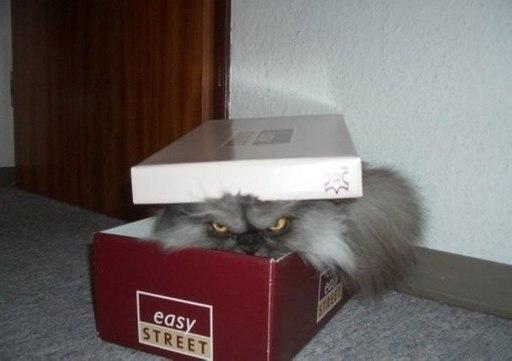 ЛЮБОВЬ и СЧАСТЬЕ