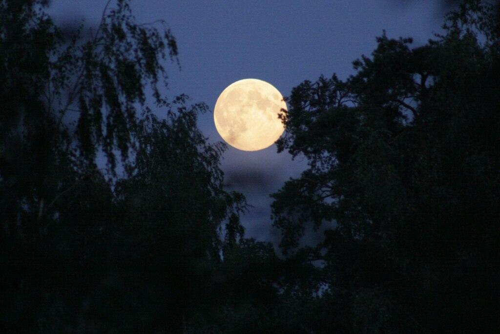 Ах, скажи, как быть...