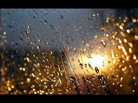 НОЧНОЙ ДОЖДЬ