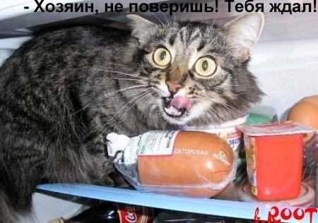 Охотничий сезон. Гишторыи деда Алега.