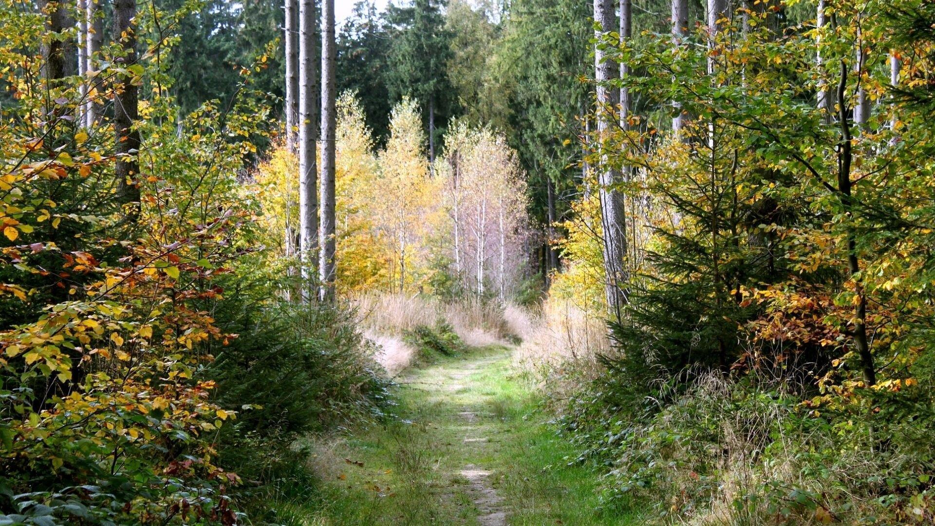  Рецепт счастья.