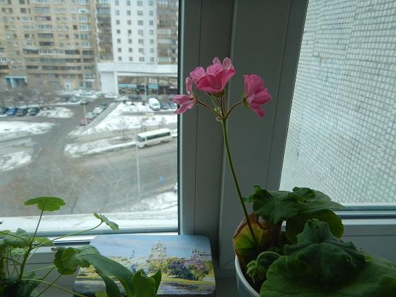 Как трудно из болота выбираться...