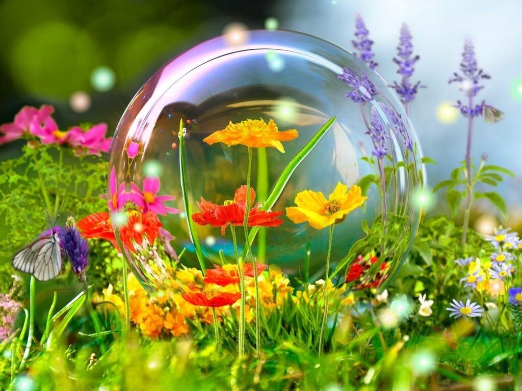 Все, наконец-то лето...