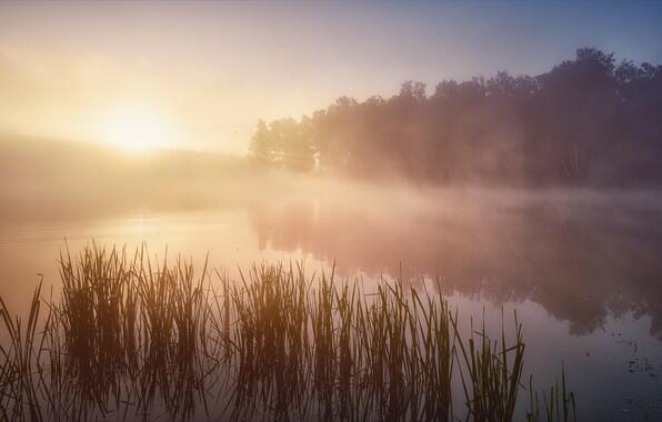 РЕКОЙ   ЖИЗНИ