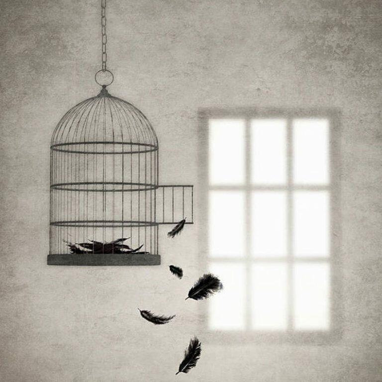 А что до чувств?