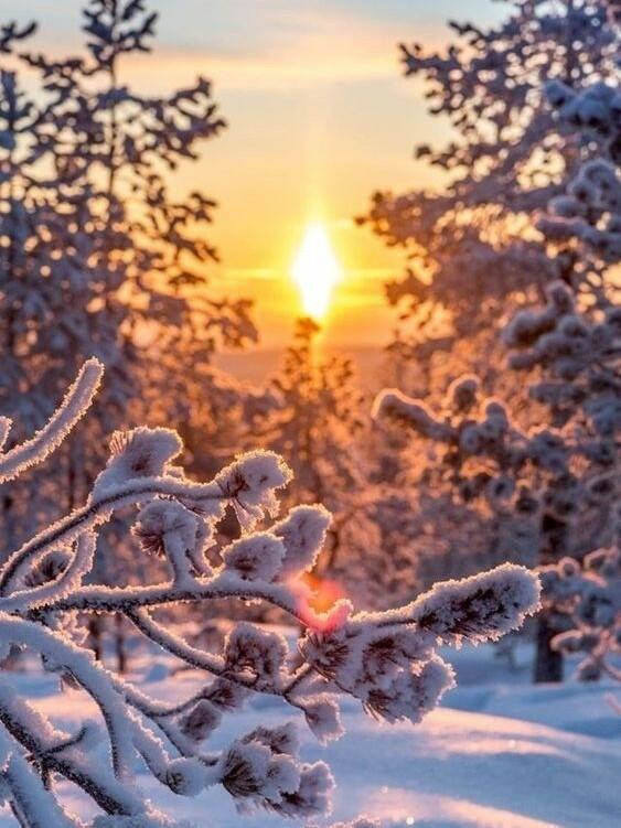 Розовой птицей закат...