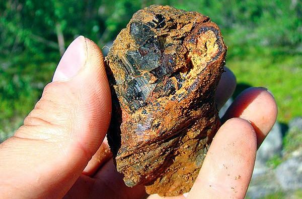 ЕЩЁ ЛУЧ СОЛНЦА. И ТРАВА