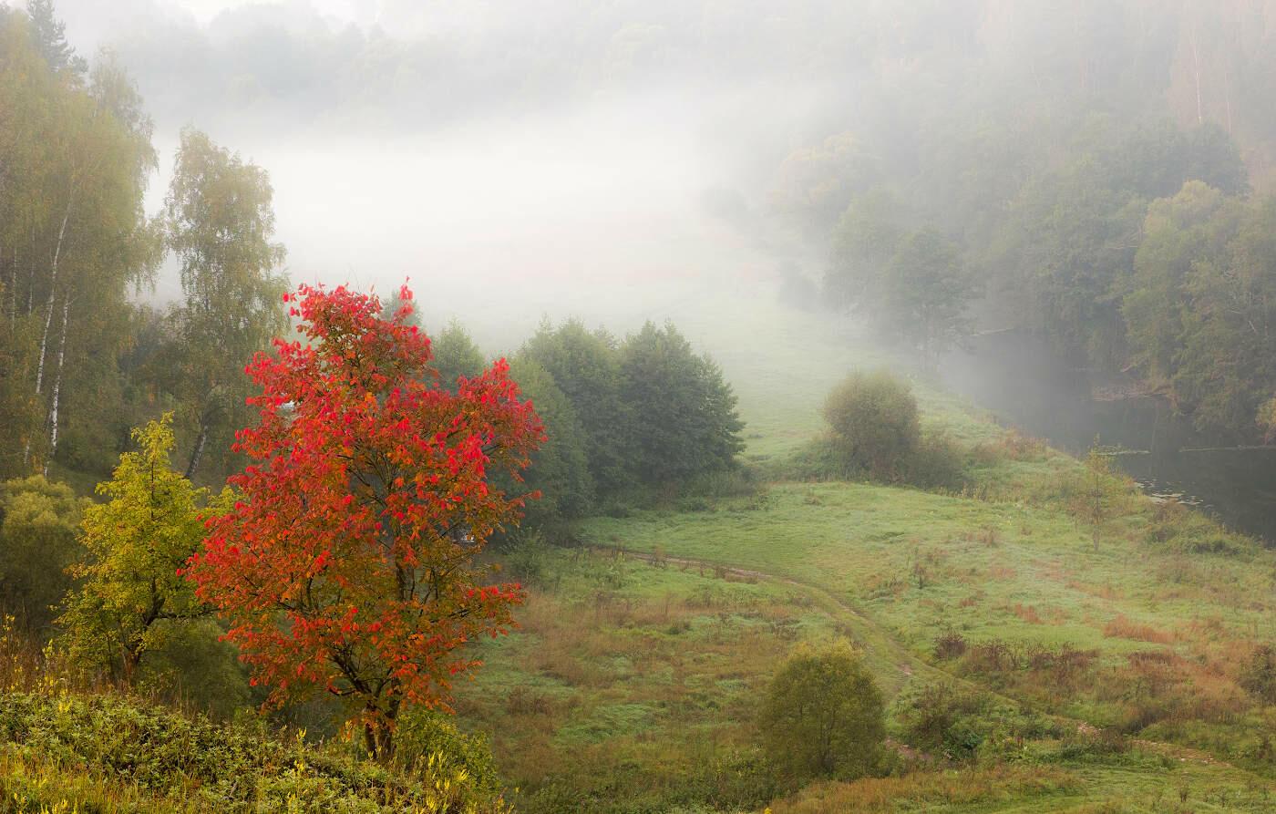 ОСЕНЬ С ТУМАНАМИ ДРУЖИТ