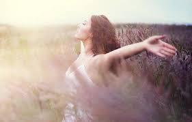 в погоне за мечтой