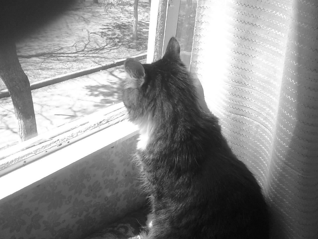 СОЛЬЁТ СЕМНАДЦАТОЕ СЕРОСТЬ