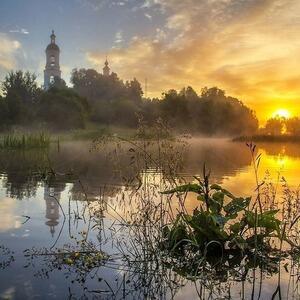 Скворчонок