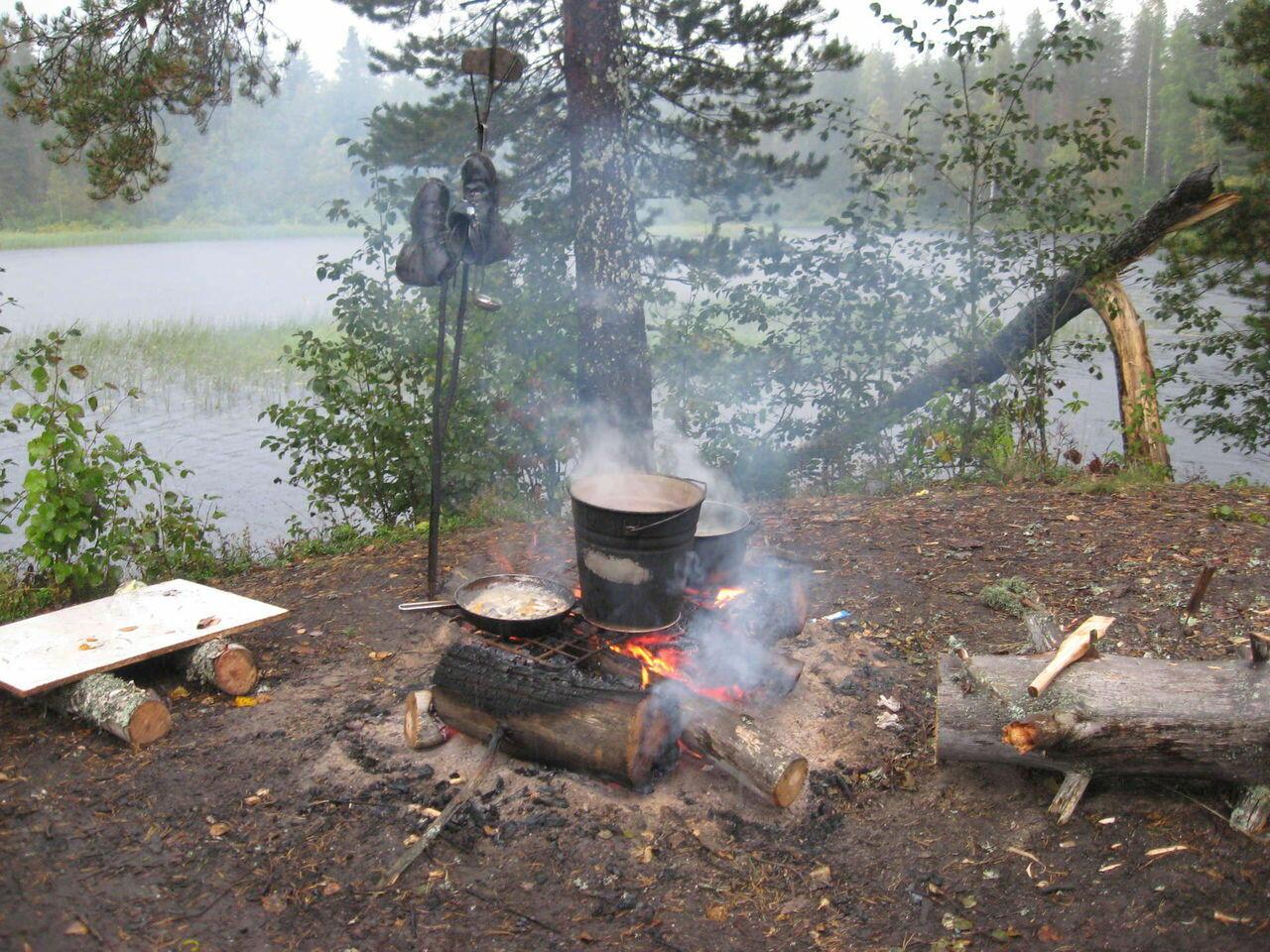 Лесное утро первомая