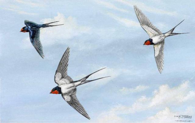 Я знала , что моим ты будешь...