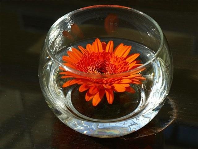 Влюбись в такую!