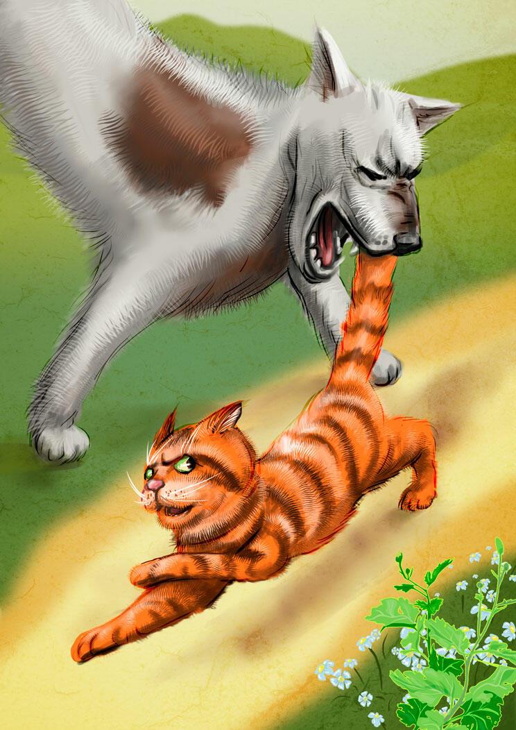 Месть котов.
